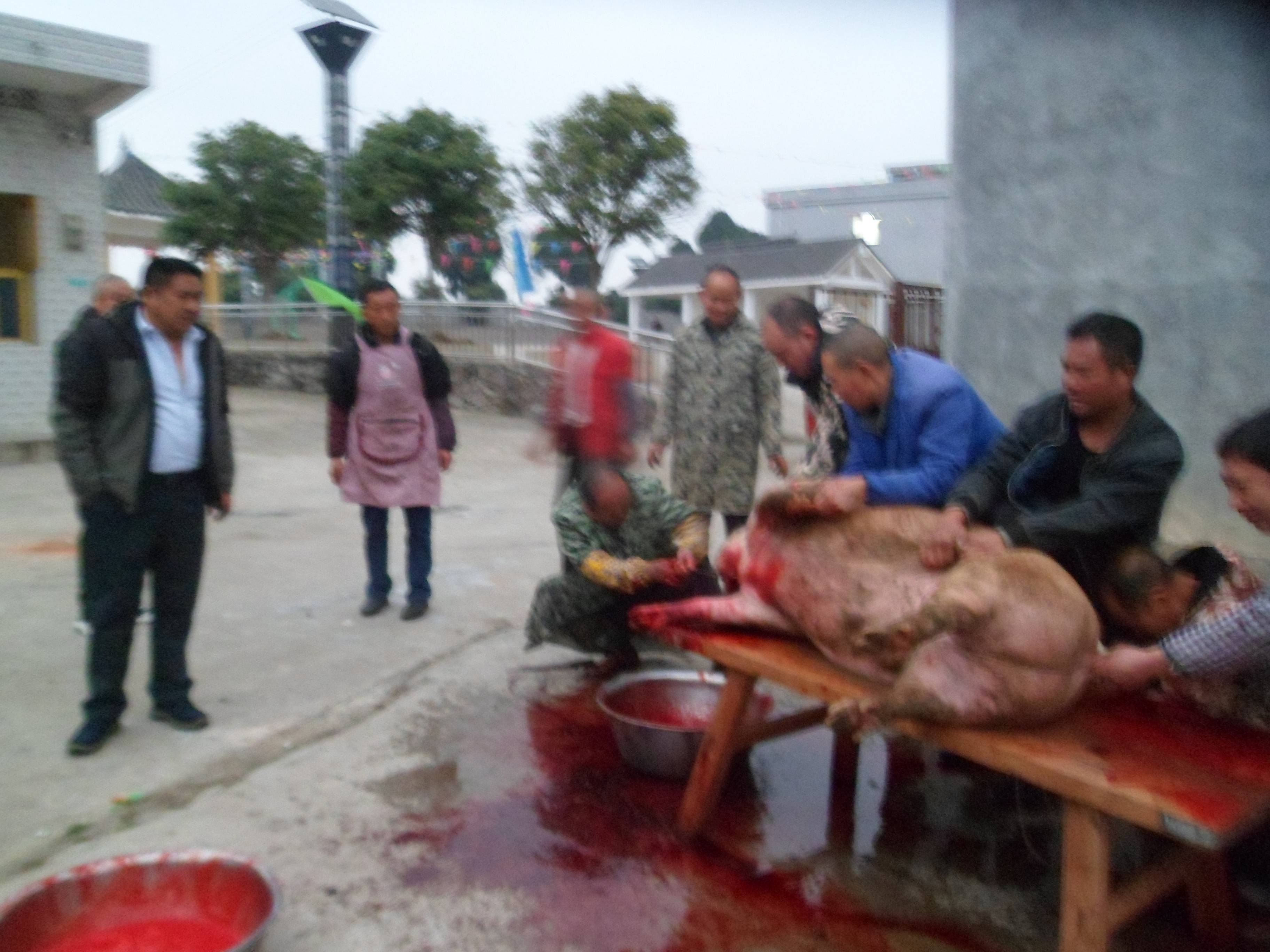 龙县德卧村多彩文体活动欢度新春佳节必一b体育app网页版登录贵州安(图4)